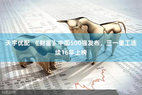 天宇优配  《财富》中国500强发布，三一重工连续16年上榜