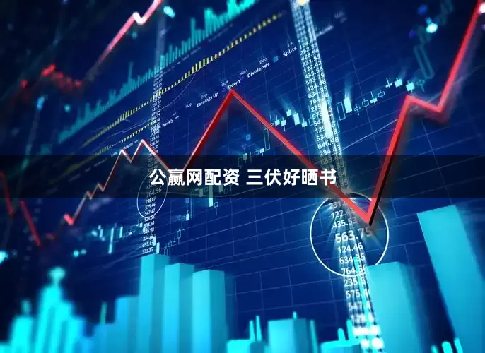 公赢网配资 三伏好晒书