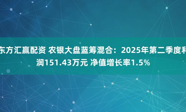 东方汇赢配资 农银大盘蓝筹混合：2025年第二季度利润151.43万元 净值增长率1.5%