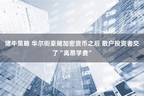 珺牛策略 华尔街豪赌加密货币之后 散户投资者交了“高昂学费”